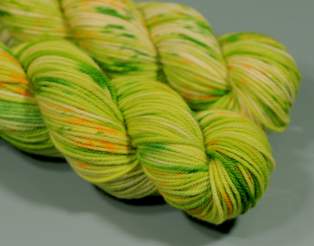
                  
                    Newly Mown Meadow | Hand Dyed 100% Merino Yarn from New Zealand | DK Worsted Weight | 100g
                  
                