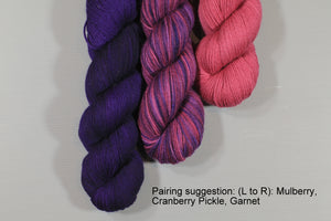 
                  
                    Cranberry Pickle | Hand Dyed 100% Merino Yarn from New Zealand | 4 Ply Fingering Weight | 100g
                  
                