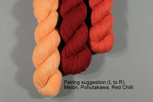 
                  
                    Red Chilli | Hand Dyed 100% Merino Yarn from New Zealand | 4 Ply Fingering Weight | 100g
                  
                